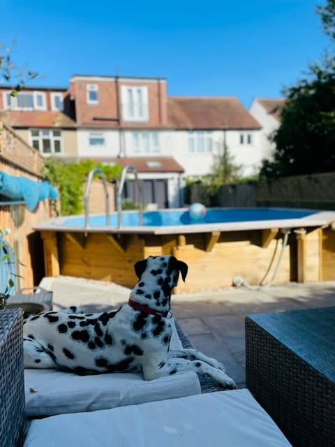 The Knightsbridge Wooden Pool