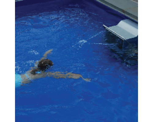 Fastlane Pro Counter Current Endless Pools Jet Unit for Swimming Pools 3