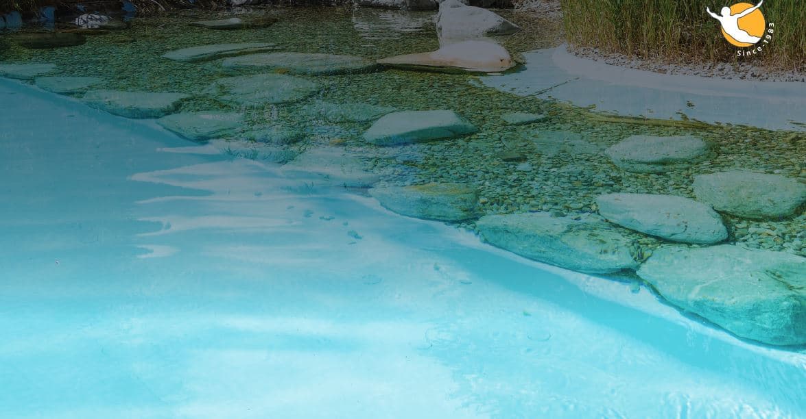 Dolphin Bio Pool Cleaner Swimming Pool Floor Walls and Waterline for pools up to 15m 2