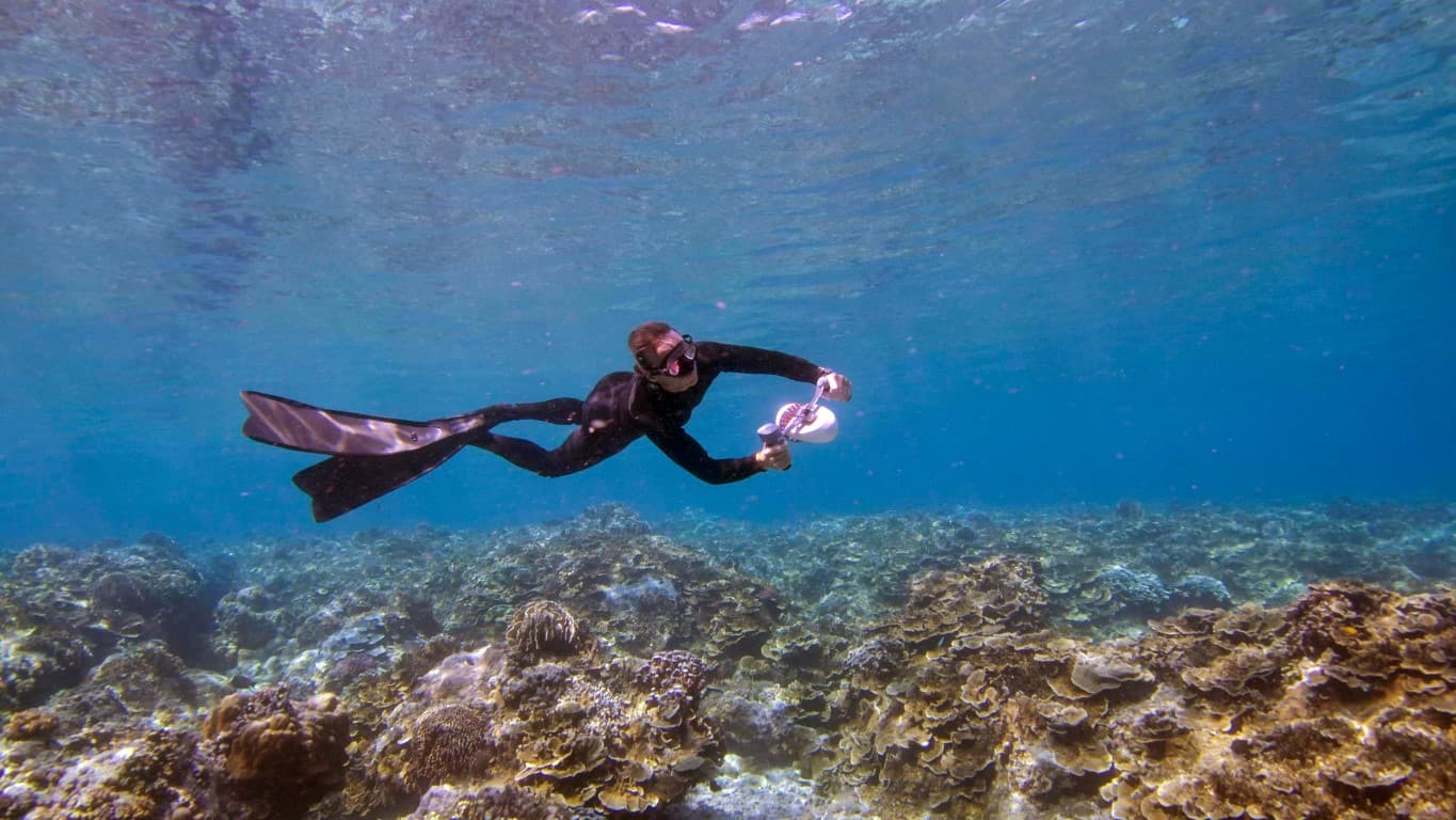 Underwater Scooter Tini Watersports, Diving, Training and hours of fun in the Sea or Swimming Pools 2