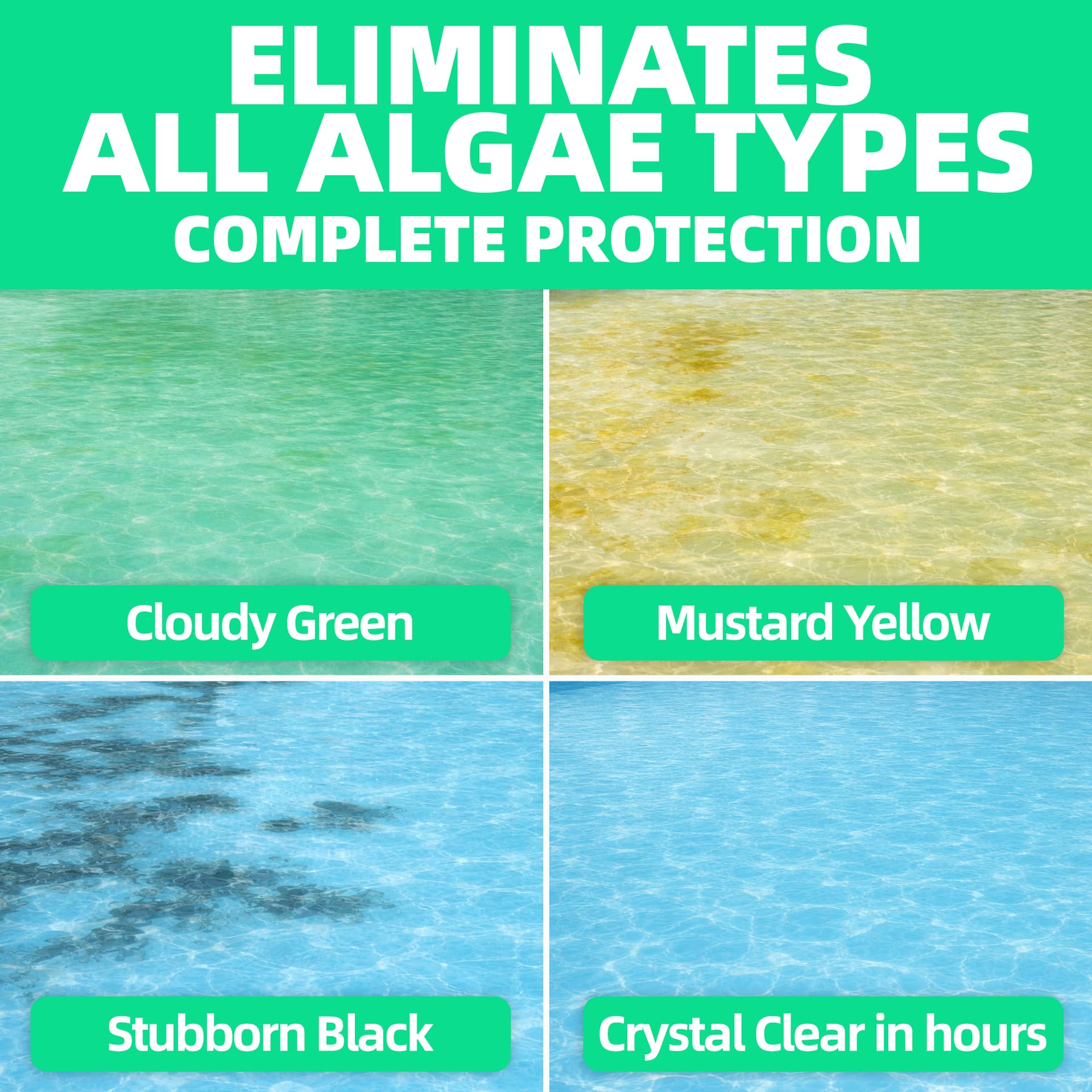 Safe Splash Algae Eliminator 2L 5